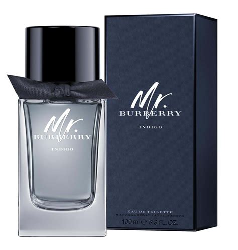 burberry perfume men's indigo|mr Burberry cologne.